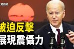 香港希望之聲