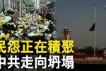 香港希望之聲