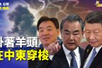 香港希望之聲