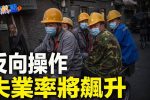 香港希望之聲