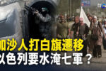 香港希望之聲
