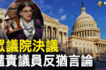 香港希望之聲
