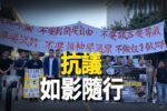 香港希望之聲 香港希望之聲