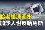 香港希望之聲