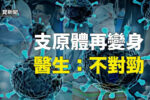 香港希望之聲