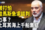 香港希望之聲
