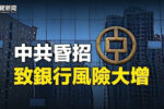 香港希望之聲