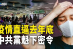 香港希望之聲