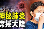 香港希望之聲