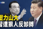 香港希望之聲