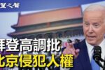 香港希望之聲