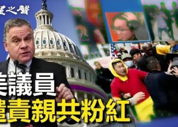 【香港新聞】美議員譴責親共粉紅襲擊民權人士 ； 英電視節目揭中共派特工刺探抗爭者消息…