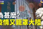 香港希望之聲