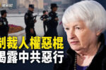 香港希望之聲 香港希望之聲