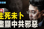 香港希望之聲