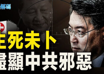 【時事解碼】習近平被批進行斯大林式清洗 秦剛生死疑雲重重 中共官場人心惶惶 主播：黃曉翔 