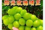 香港希望之聲