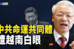 香港希望之聲