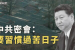 香港希望之聲