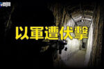 香港希望之聲
