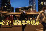 香港希望之聲 香港希望之聲