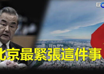 【每日要聞】王毅明日訪越 為習鋪路？以哈休戰第七天哈馬斯分批釋放人質  主播：林茵 鍾嘉慧