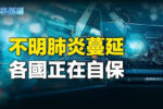 香港希望之聲 香港希望之聲
