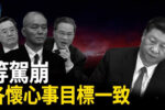 香港希望之聲 香港希望之聲