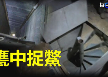 【每日要聞】以軍發現通往哈馬斯首領住宅地道；明年頭號事件坐等習近平出事？ 主播 :林茵 葉晚風