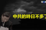 香港希望之聲
