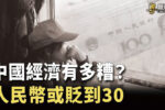 香港希望之聲