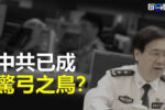 香港希望之聲