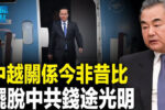 香港希望之聲 香港希望之聲