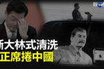 香港希望之聲