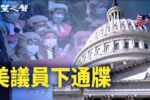 香港希望之聲