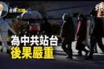 香港希望之聲