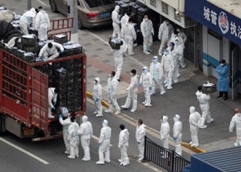 直路上的中國外交與內政(10) – 禍福無門唯人自招(現眼報)_CN-2023-40【社會譽論】