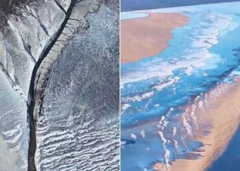 冰封錢塘江、冰雪「潮汐樹」只有在早上6點到8點才能拍到。（翻攝自《浙江日報》微博）