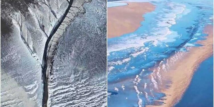 冰封錢塘江、冰雪「潮汐樹」只有在早上6點到8點才能拍到。(翻攝自《浙江日報》微博)