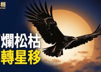【唐人街】中共治下的大逃亡，從大陸人到香港人、從貧民百姓到達官貴人，不能磨滅的血淚史。