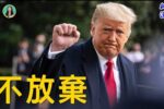 香港希望之聲