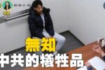 香港希望之聲
