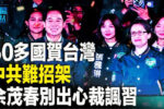 香港希望之聲