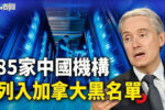 香港希望之聲