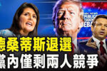 香港希望之聲