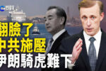 香港希望之聲