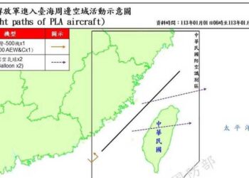 外媒：台灣政府與台商養虎為患