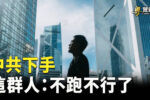 香港希望之聲
