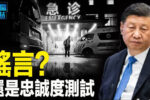 香港希望之聲 香港希望之聲