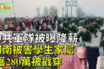 香港希望之聲